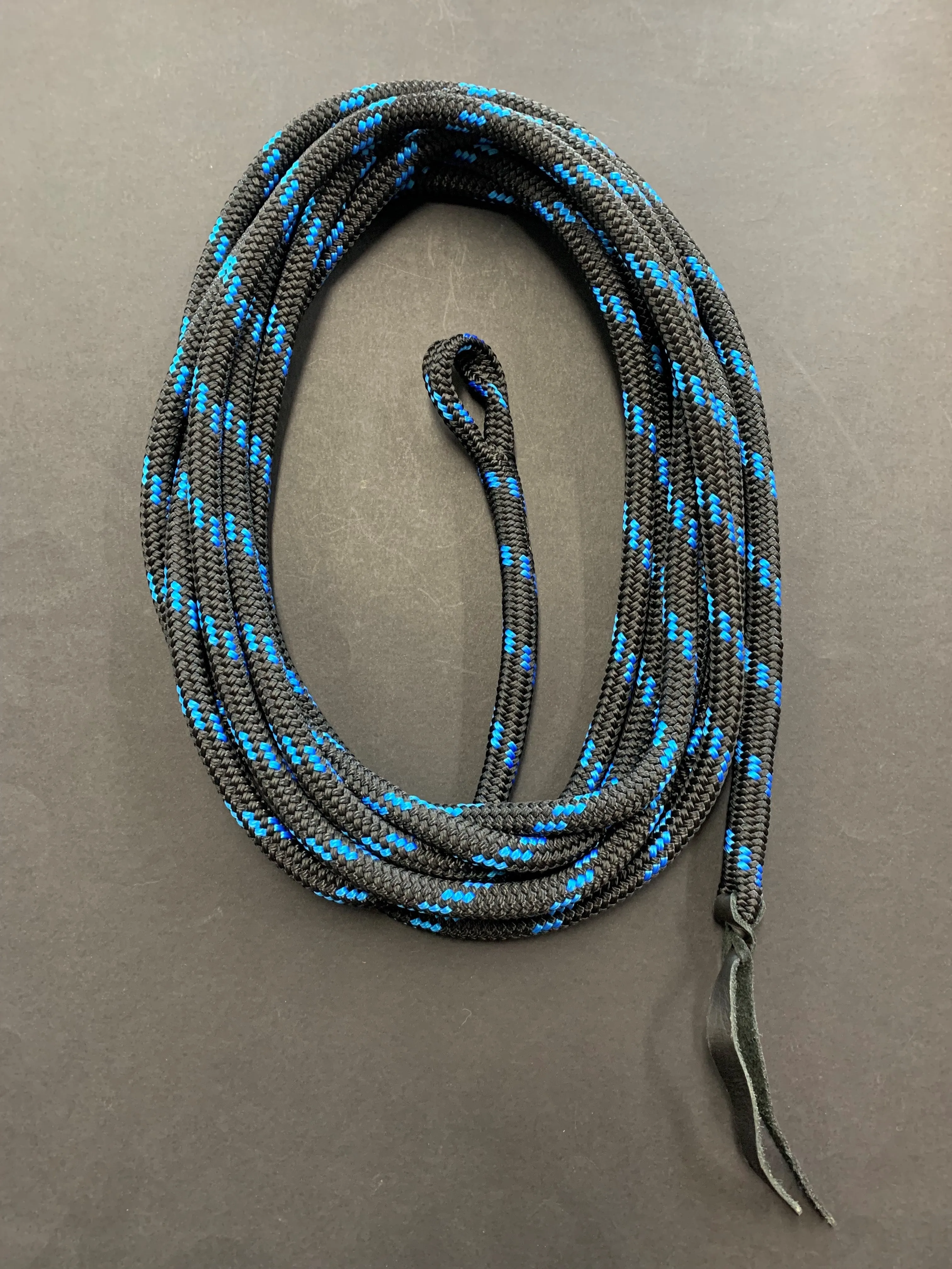 Heavy Duty Lunge Lead